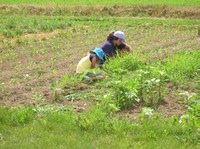 planting at the farm